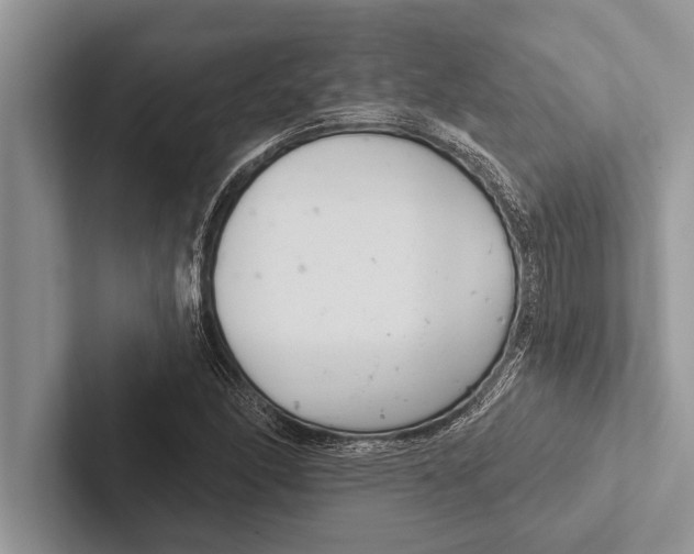 X0000102541166200809051527