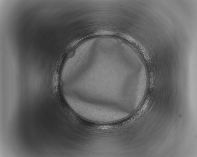 X0000102541169200809051527