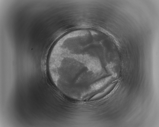 X0000102541170200809051527