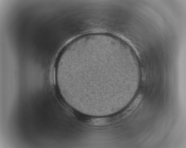 X0000102541171200809051527