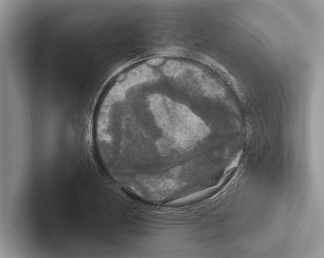 X0000102541174200809051527
