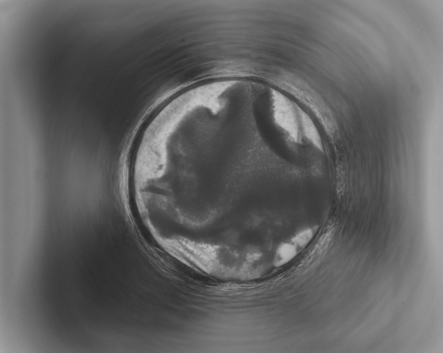 X0000102541179200809051526