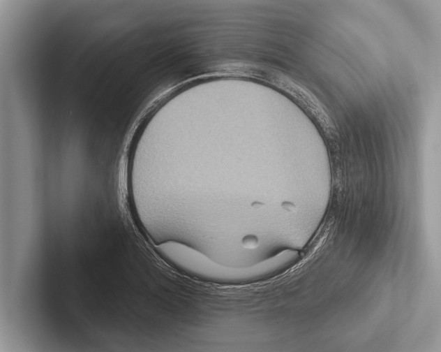 X0000102541180200809051526
