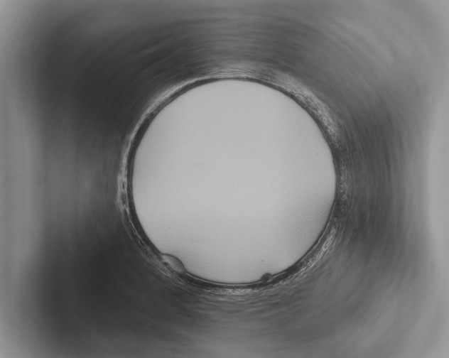 X0000102541184200809051526