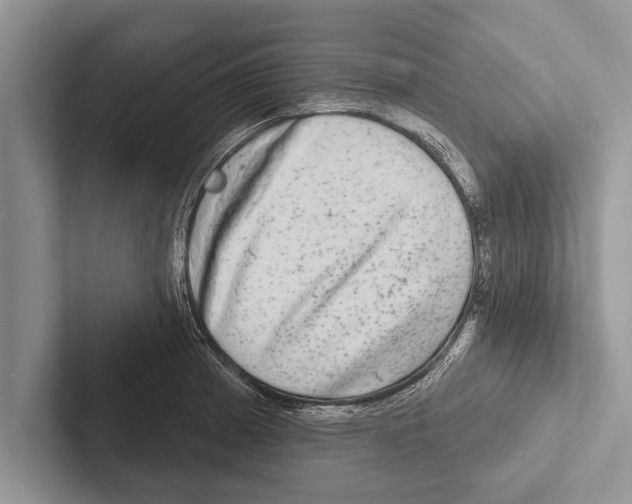 X0000102541185200809051526