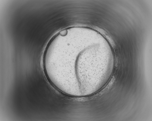 X0000102541189200809051526