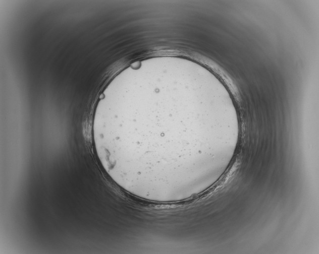 X0000102541193200809051526