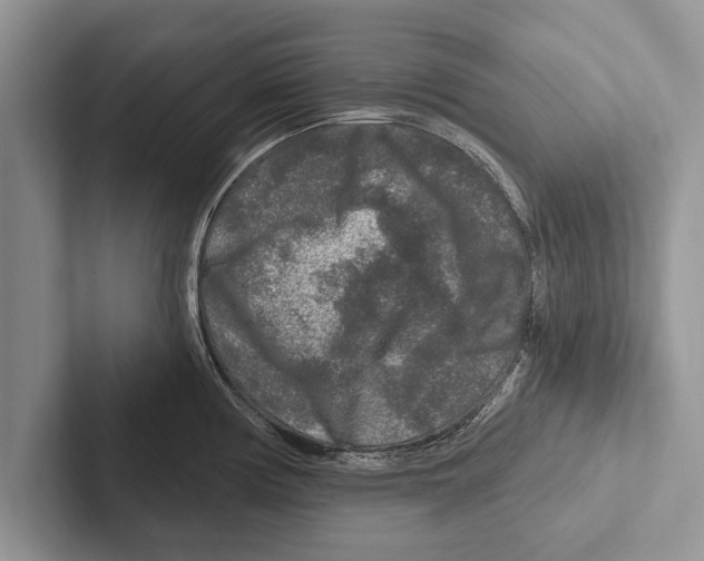 X0000102541194200809051526