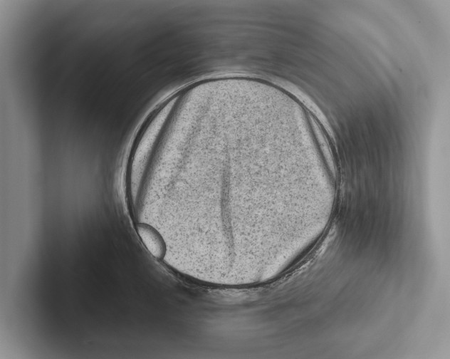 X0000102541197200809051526