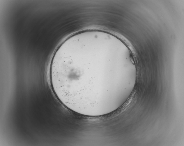 X0000102541199200809051526