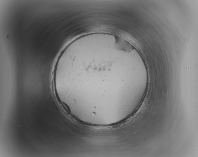 X0000102541200200809051526