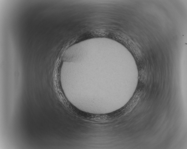 X0000102541201200809051525