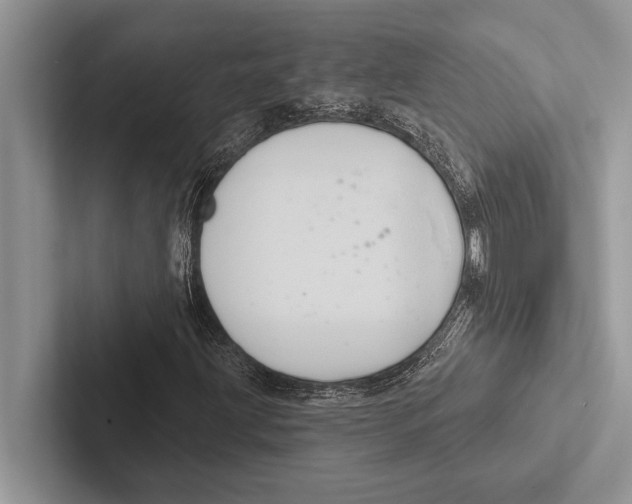 X0000102541203200809051525