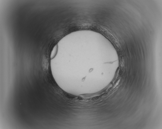 X0000102541204200809051526