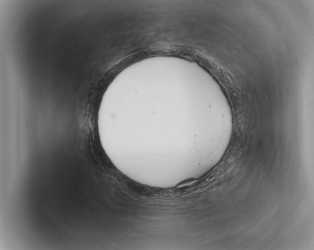 X0000102541206200809051526