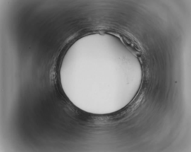 X0000102541210200809051526