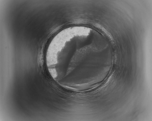 X0000102541213200809051526