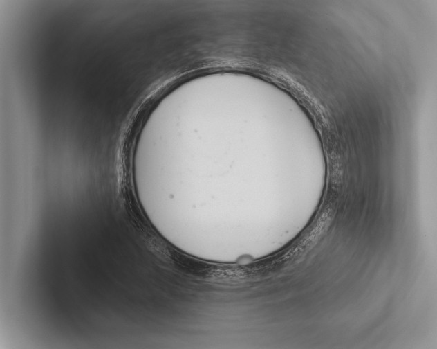 X0000102541215200809051526