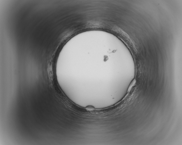 X0000102541218200809051526