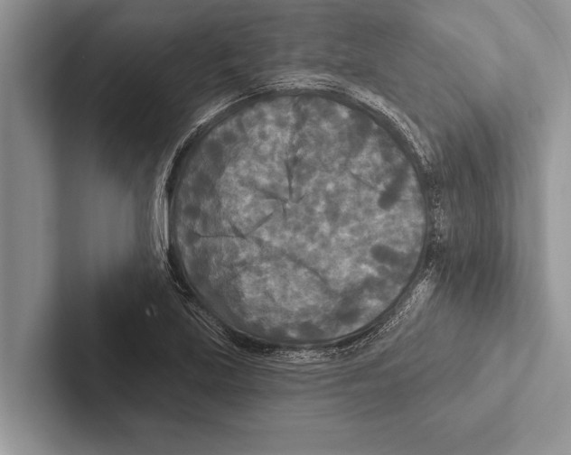 X0000102541219200809051526