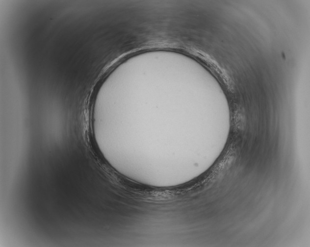 X0000102541220200809051526