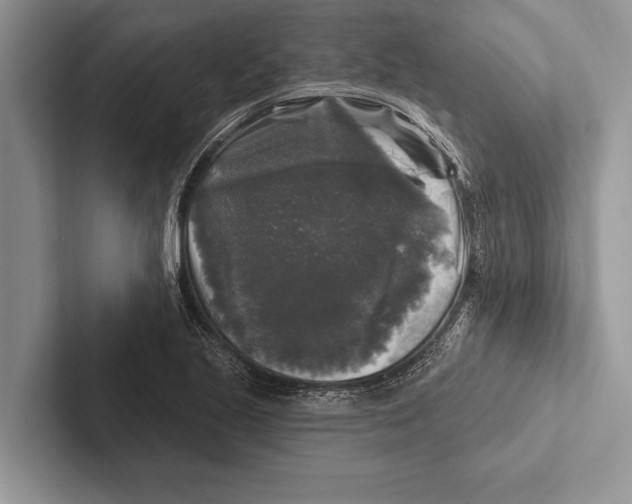 X0000102541221200809051526