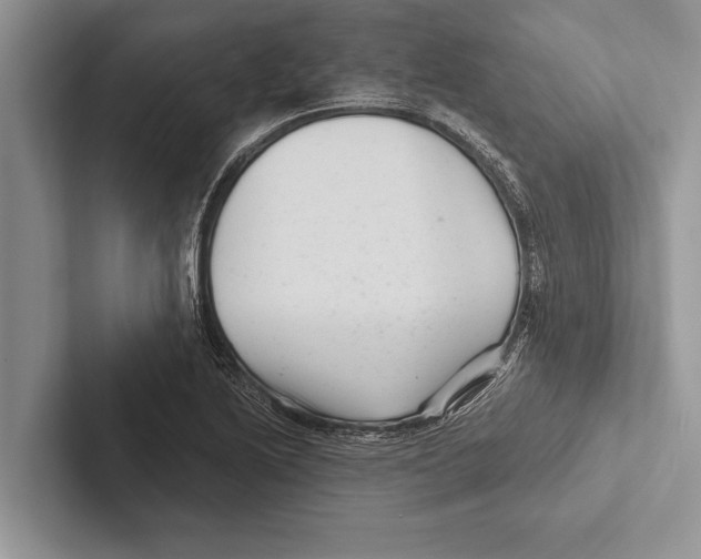 X0000102541222200809051526