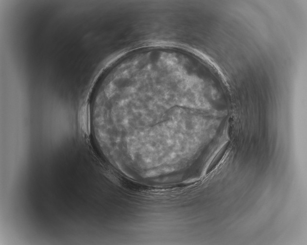 X0000102541223200809051526