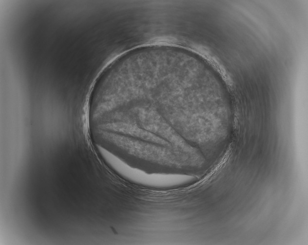 X0000102541224200809051526