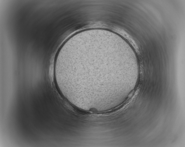 X0000102541228200809051526