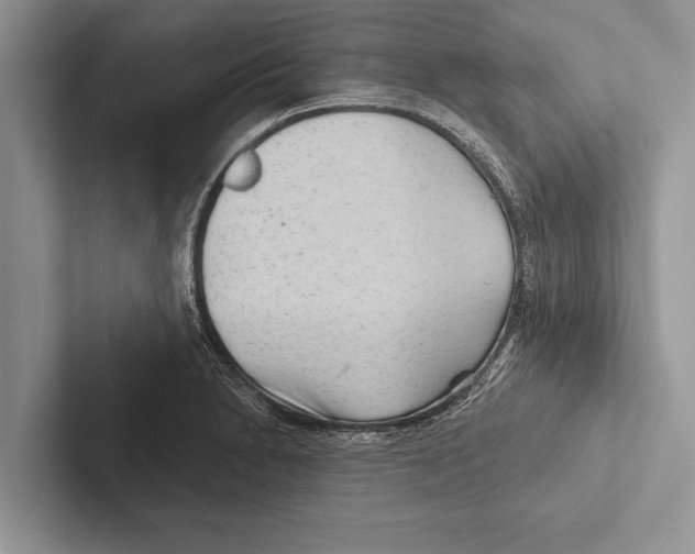 X0000102541230200809051526