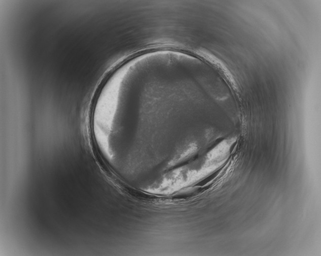 X0000102541231200809051526