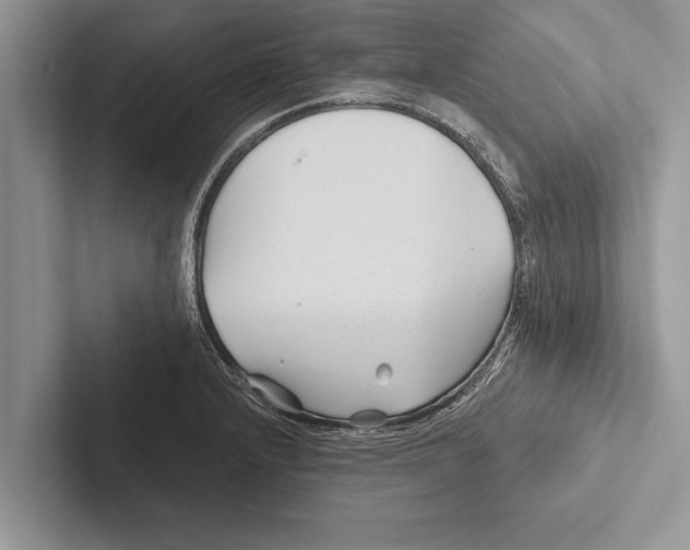 X0000102541232200809051526