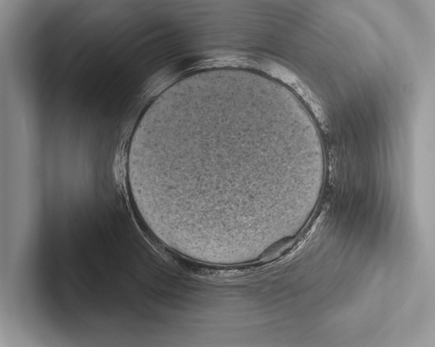 X0000102541233200809051526