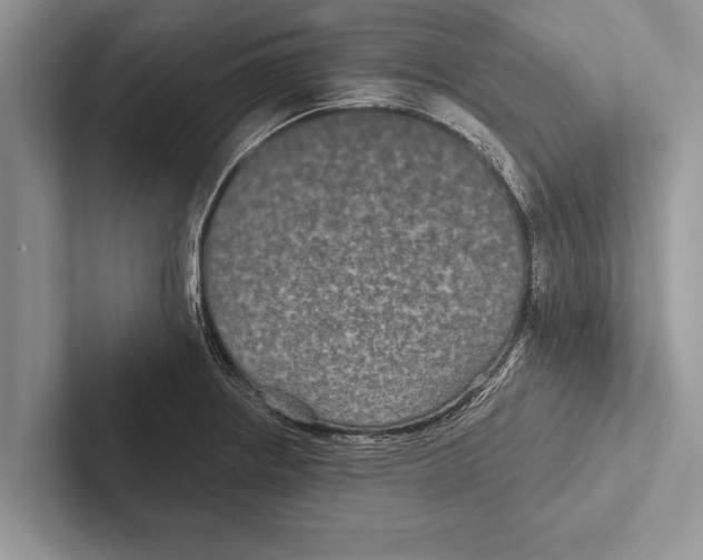 X0000102541234200809051526