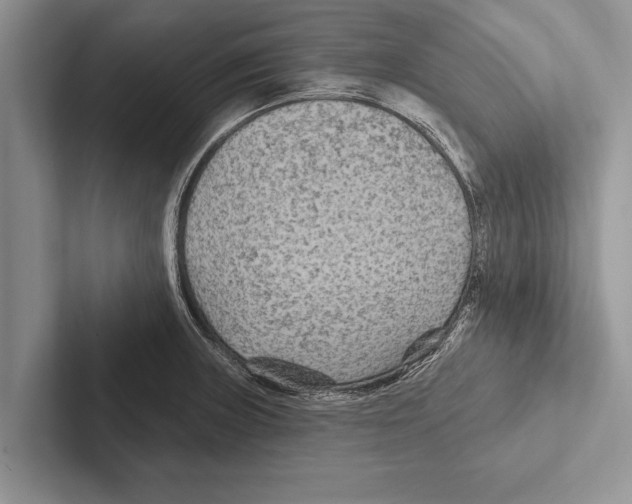 X0000102541235200809051526