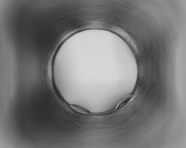 X0000102541238200809051526