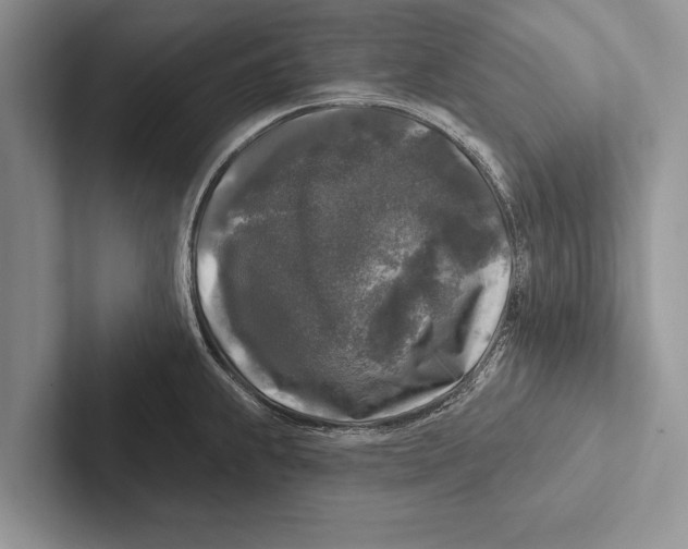 X0000102541239200809051526