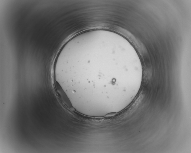 X0000102541242200809051526