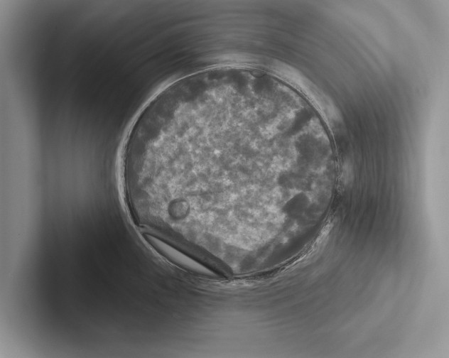 X0000102541243200809051526