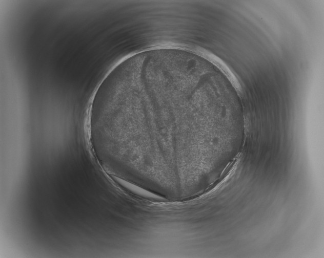 X0000102541244200809051526