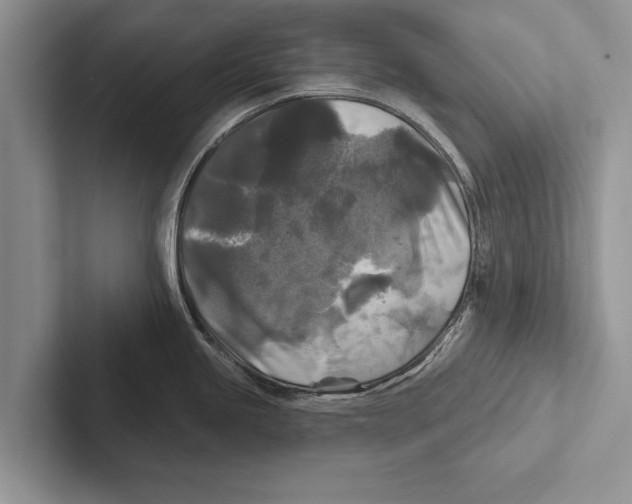 X0000102541245200809051526