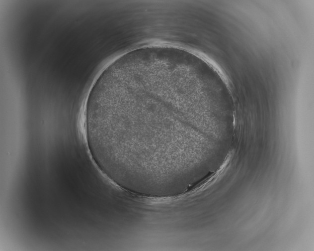 X0000102541247200809051526