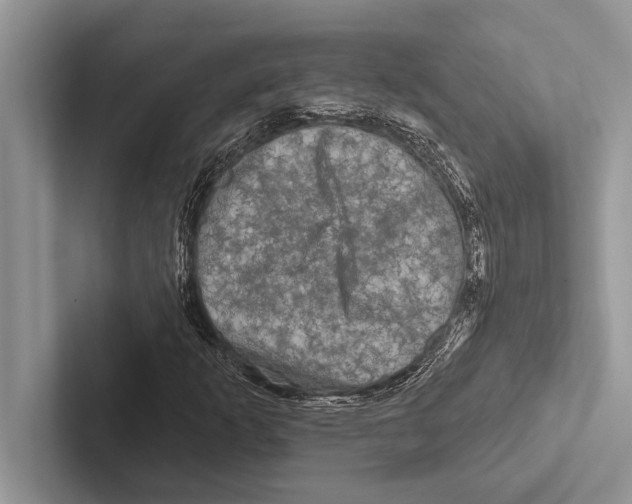 X0000102541253200809051525