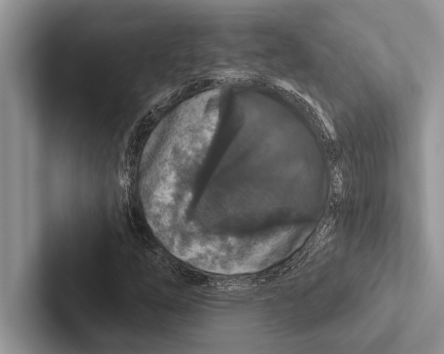 X0000102541254200809051525