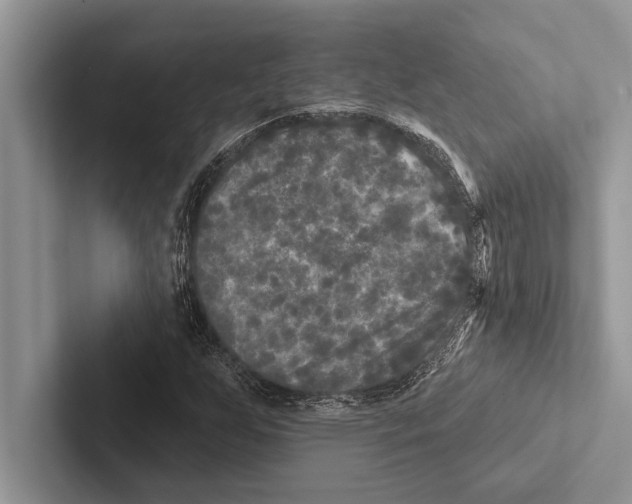 X0000102541255200809051525