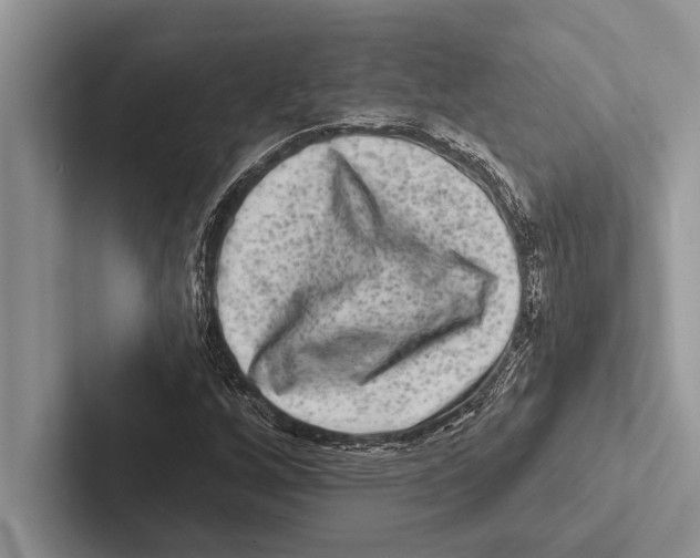 X0000102541256200809051525