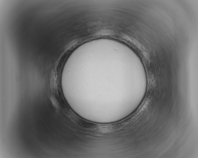 X0000102541258200809051525