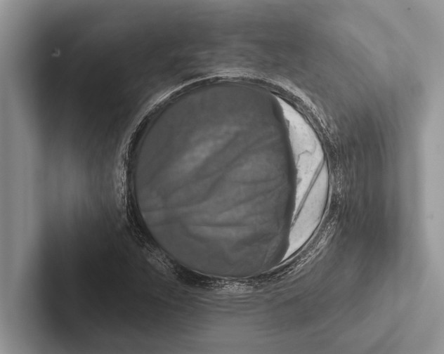 X0000102541263200809051525