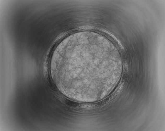 X0000102541266200809051525